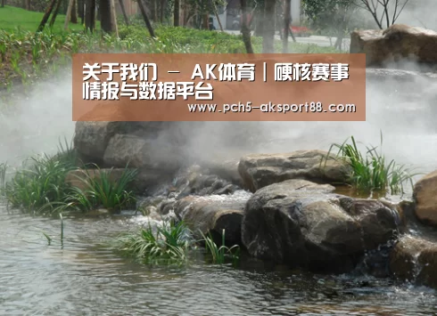 案例展示五(图1)