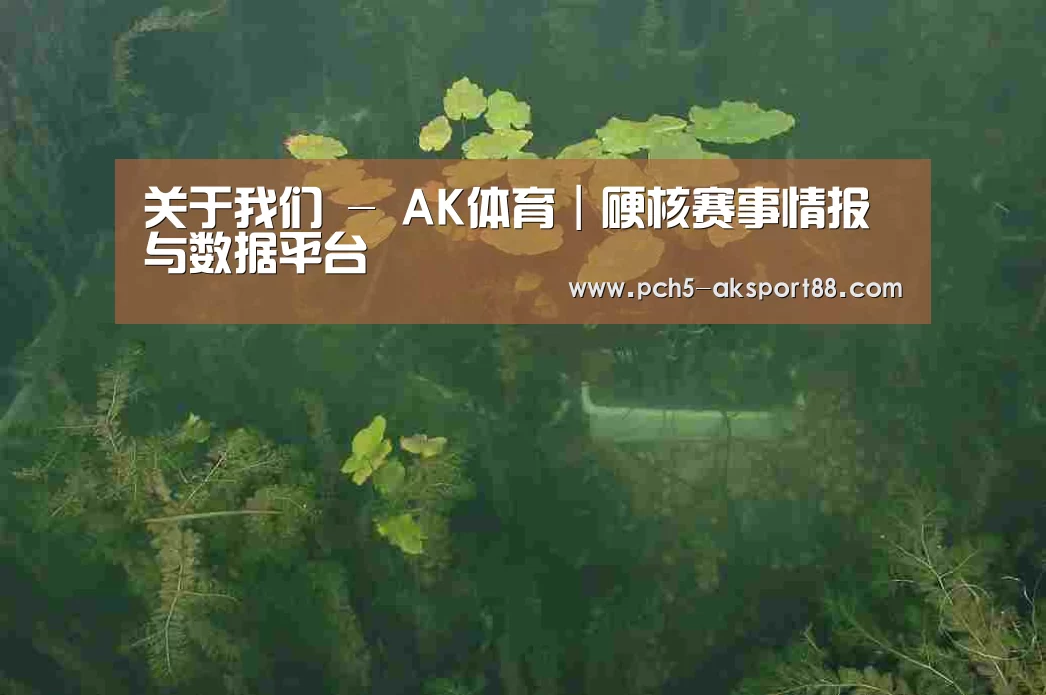 案例展示三(图1)