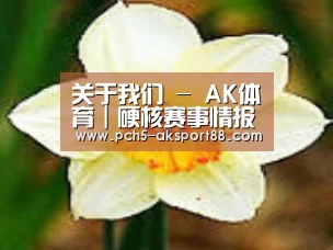 产品名称四