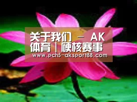 产品名称五