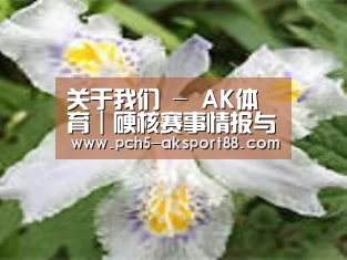 产品名称二
