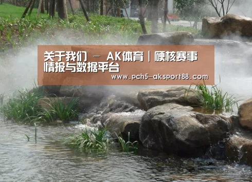 案例展示五