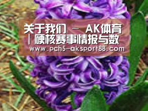 产品名称八