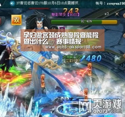  体育数据平台