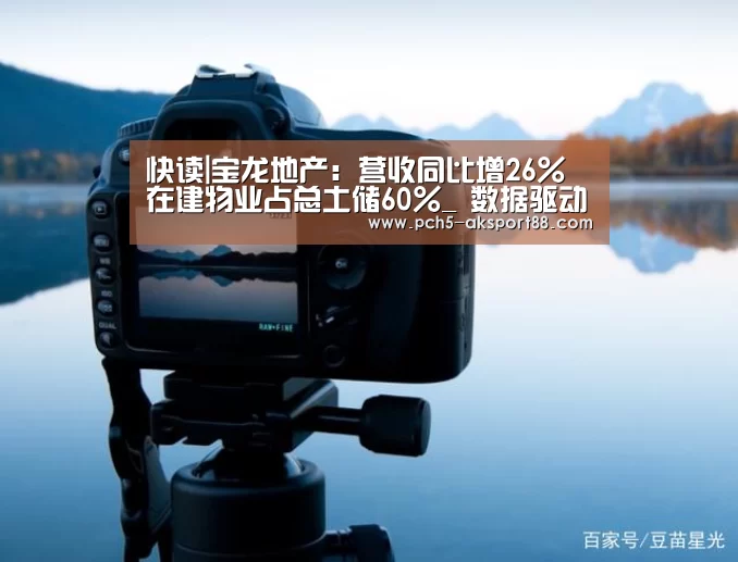  体育数据平台