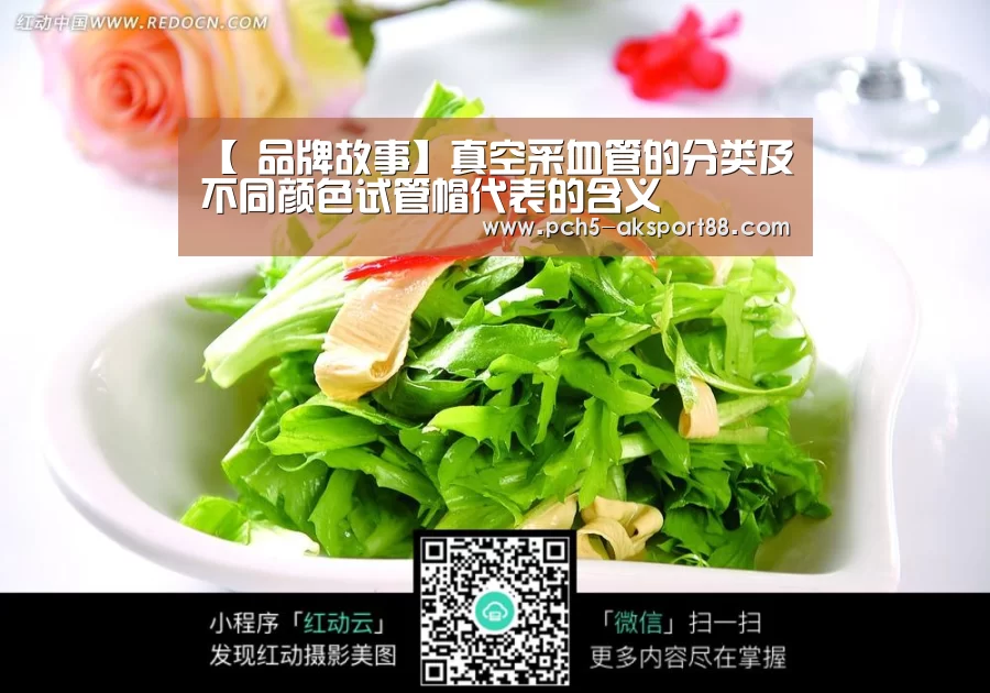  赛事情报