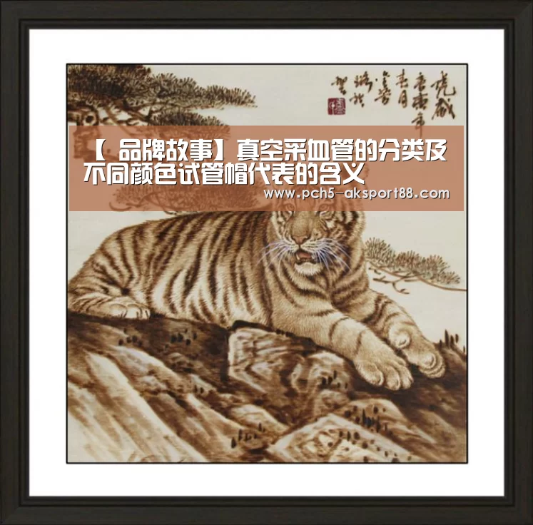 ak体育
