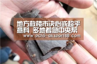  体育数据平台