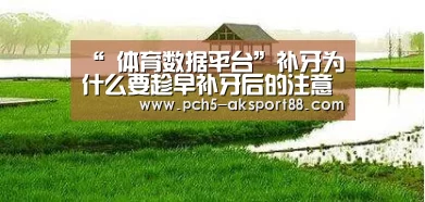“ 体育数据平台”补牙为什么要趁早补牙后的注意事项(图2) 关于我们