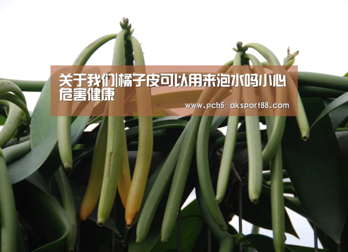 关于我们|橘子皮可以用来泡水吗小心危害健康(图1) 赛事情报