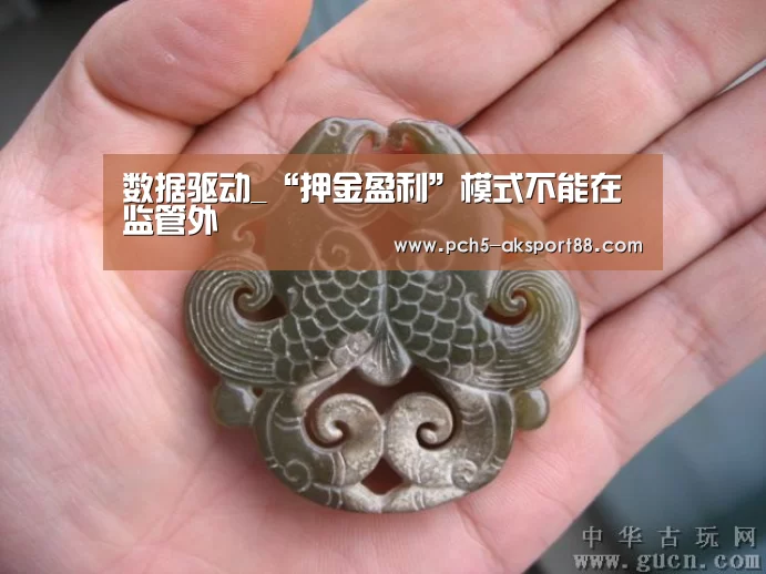 数据驱动_“押金盈利”模式不能在监管外(图1) 品牌故事