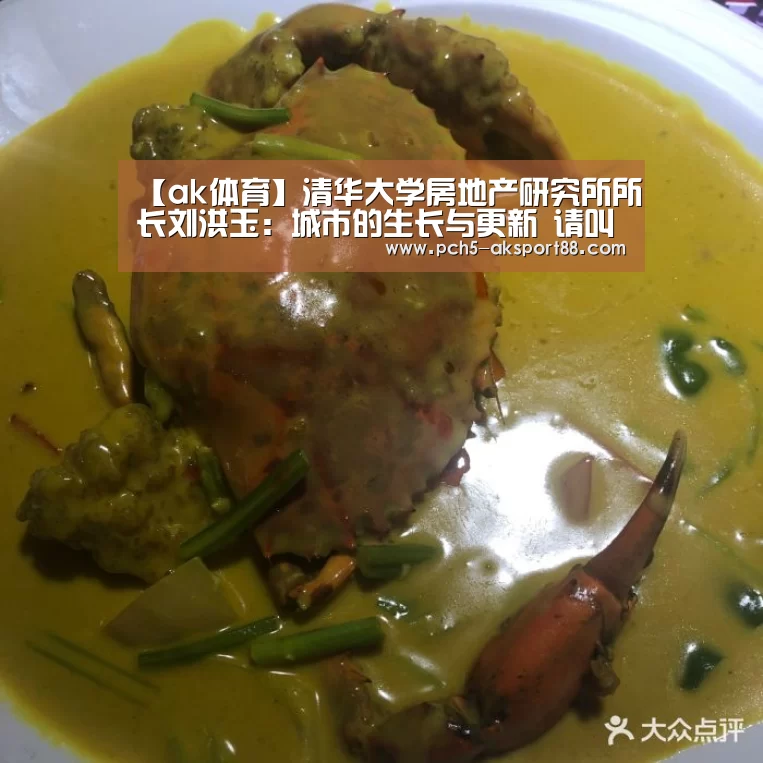 【ak体育】清华大学房地产研究所所长刘洪玉:城市的生长与更新 请叫我运营商(图2) 品牌故事
