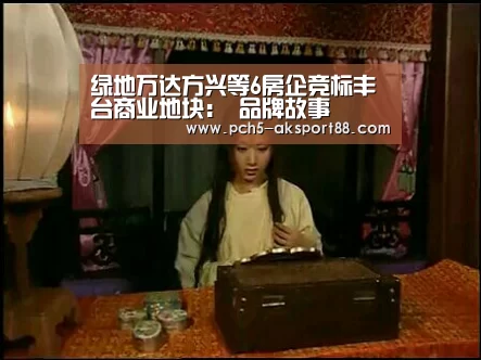 绿地万达方兴等6房企竞标丰台商业地块: 品牌故事(图4) 数据驱动